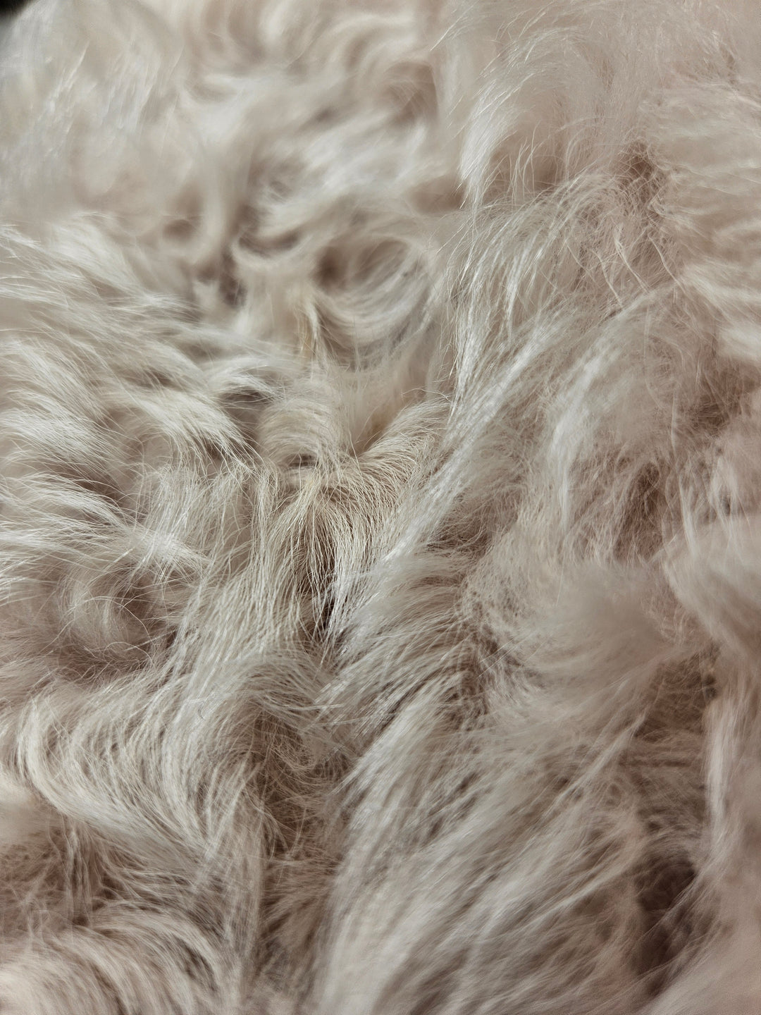 Jessica, 68 cm. -Kragen – Wildlederlamm – Damen – Hellbeige