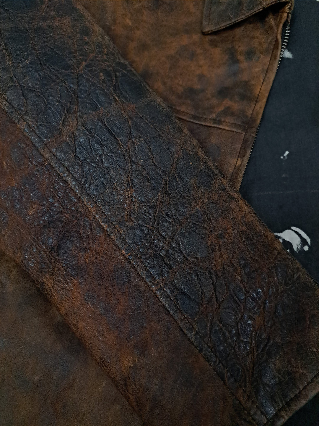 James Dean, 65 cm. - Collar - Leather - Man - Brown