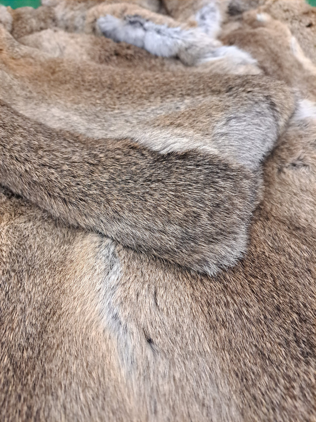 Jabby, 115 cm. - Kanin - Kvinner - Hare